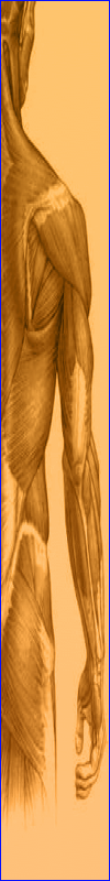 Stacks Image 8